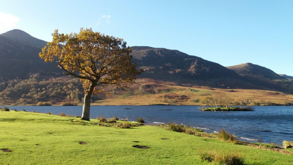 Crummock Water and Red Pike in the Lake District